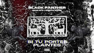 Skulio x LOiseau Rare  BLACK PANTHER LYRICS VIDEO [upl. by Matthia]