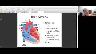 Cardiovascular  1 Heart and Blood vessels [upl. by Samford195]