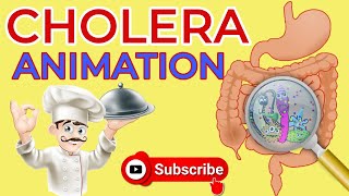 What is cholera  Causes Signs and Symptoms Diagnosis  Treatment  cholera animation  diarrhea [upl. by Ahgem]