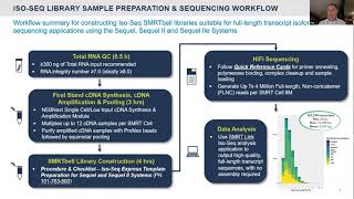 Genome Annotation  ANZ PacBio Bioinformatics Workshop Series [upl. by Marden]