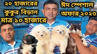 Lhasa ApsoDog price in 2023Persian cat price in 2023Katabon animal market in bangladesh gsd [upl. by Aleen556]