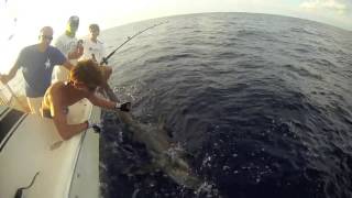 Big Eye Thresher Shark Daytime Swordfishing Miami [upl. by Alethea]