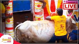 Alanganallur Jallikattu 2018  LIVE  Part 2 [upl. by Latt]