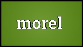 Morel Meaning [upl. by Akemed]