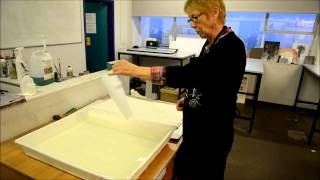 Printmaking tutorial Drypoint Inking amp Printing by Linda Nevill Fine Art Printmaker [upl. by Leizar276]