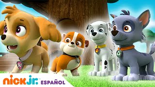 PAW Patrol  ¡Los cachorros salvan el día Compilación de 20 minutos  Nick Jr en Español [upl. by Huldah]