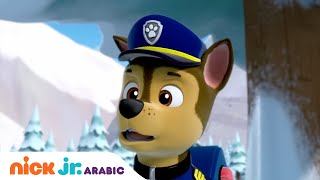 دوريات المخلاب  دوريات المخلاب وعمليات إنقاذ في الجبل  Nick Jr Arabia [upl. by Melbourne]