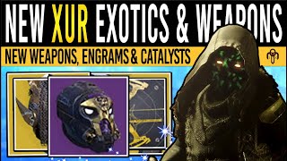 Destiny 2 RARE ARTIFICE ARMOR amp XURS WEAPONS 69 Roll Catalysts Exotics amp Class Items 22nd Nov [upl. by Cooperman743]