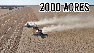 It’s a Big Paddock  Contract Harvesting Wheat  Harvest 2024  Vlog 326 [upl. by Kcinnay]