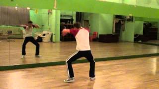 Lady Gaga Born This Way Dance Tutorial 23 with music slow speed [upl. by Ecidnac199]