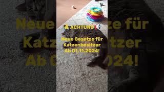 ⚠️Achtung Neue Gesetze für Katzenhalter ab 0111⚠️ [upl. by Eidoj]