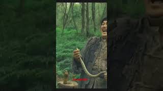 quotAnaconda movie explained in hindi shortquotanaconda movieexplainedinhindi viralshort [upl. by Eclud]