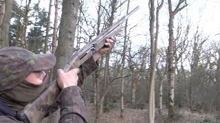 The Shooting Show – challenging pigeon roost shoot [upl. by Lune69]