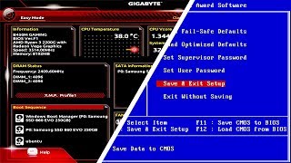 PC BIOS Settings [upl. by Yelad]