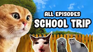 SCHOOL TRIP CAT MEME COMPILATION [upl. by Slaby]