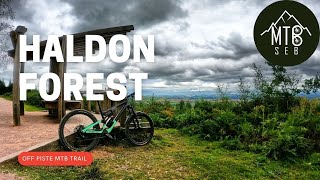 Haldon Forest MTB  Off Piste trails [upl. by Dublin]