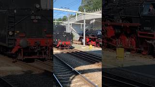 Stoomtrein kruising in Arnhem Westfalendampf 2024 [upl. by Ching]