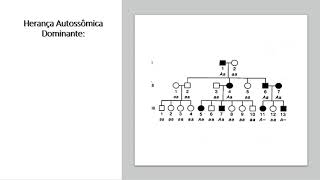 VideoAula Análise de Heredogramas [upl. by Lemmueu]