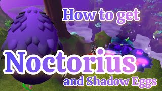 How to Get New Noctorius Shadow Dragon in Dragon Adventures [upl. by Llevrac123]