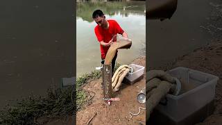 This DIY Water Filter SAVES Village From Contaminated Water shortsvideo [upl. by Reuven]