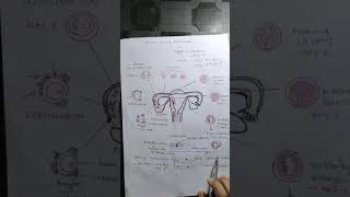 Fertilization implantation formation and development of placenta in hindi  1 [upl. by Michi]