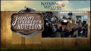 2019 National Western Stock Show Junior Livestock Auction [upl. by Lemrac147]