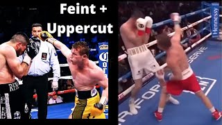 CANELO USING THE SAME MOVE ON DIFFERENT OPPONENTS FEINT  UPPERCUT [upl. by Rammaj]