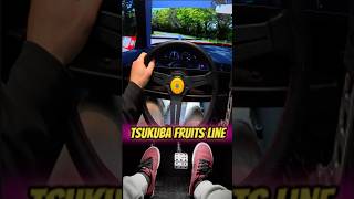 Tsukuba Fruits Line highlight from last Tik Tok Livestream FOLLOW ME joshmullen35 [upl. by Iamhaj]