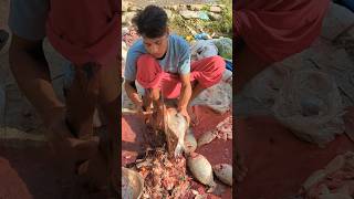 Amazing Piranha Fish cutting skills beefcuttingmarket [upl. by Noland]