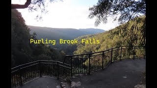 Purling Brook Falls circuit QLD [upl. by Hilarius]