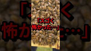 「スゴく怖かった…」オリンピック選手が暴露するパリ選手村での信じられない出来事 気になる日本 [upl. by Christianson]