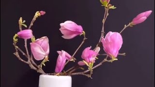 V114Delicate Magnolias Small Branches in Pot Floral Designs [upl. by Anhoj]