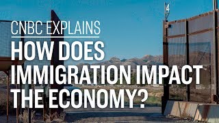 How does immigration impact the economy  CNBC Explains [upl. by Dolloff]