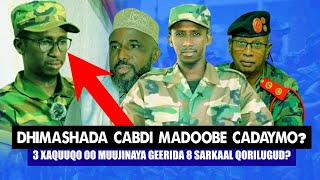 Xog Dhimashada Cabdi Madoobe Oo 3 Cadaymood laga Helay Jabkii Dagaalka Qorilugud Muuqaal Beena [upl. by Chura451]