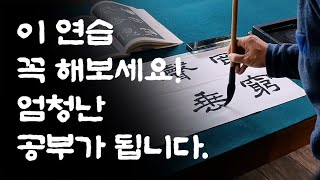 서예 초심자 딱지를 떼기 위한 필수 코스 먹 한번 찍어서 한장 쓰기 [upl. by Eiliah]