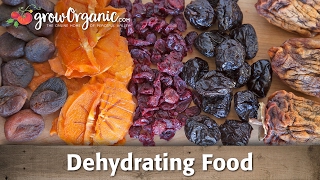 How to Dehydrate and Preserve Organic Fruit [upl. by Anerhs]