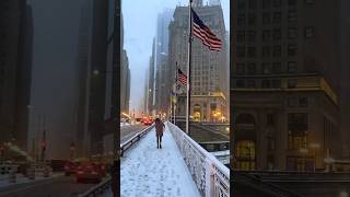 Is Chicago the most beautiful city in the USA beautiful chicago downtown shortsvideo shorts [upl. by Anniram]