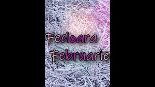 Tarot zodia fecioara februarie 2024 Sanatate bani dragoste [upl. by Zerimar794]