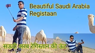 Most Beautiful Saudi DessertCamel रेगिस्तान ऊंटकि फॉर्म [upl. by Arimihc330]