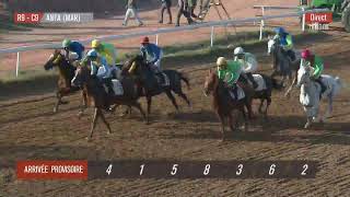 Live Hippodrome « CASABLANCA »  Courses du « 04112024 » [upl. by Eyaj]