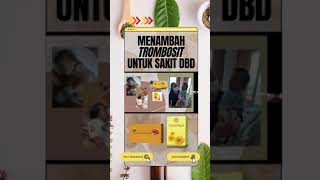 Testimoni Manfaat Ganoderma  Membantu Meningkatkan Trombosit [upl. by Eilsel]