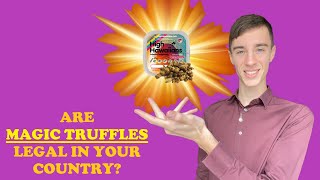 Are Magic Truffles Legal In Your Country [upl. by Zarla]