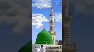 masjid al haram🕋makkhaallahYouTube tilawat [upl. by Seerdi]