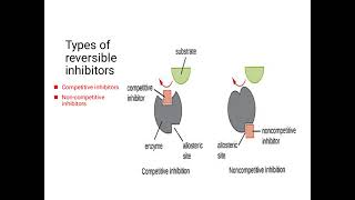 inhibitors and their types Lilac2197 [upl. by Eidod]