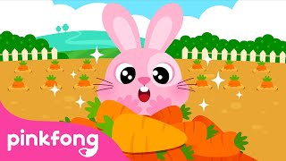 Funny fluffy fuzzy Bunnies  The Bunny Song  Farm Animals Songs  Pinkfong Songs [upl. by Kessiah953]