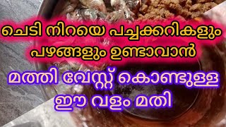 പച്ചക്കറികളും പഴങ്ങളും നിറയെ ഉണ്ടാവാൻ മത്തി വേസ്റ്റ് കൊണ്ട് അടിപൊളി വളം fish amino acid malayalam [upl. by Minerva447]