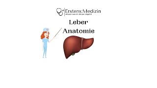 Leber Anatomie [upl. by Mabel794]