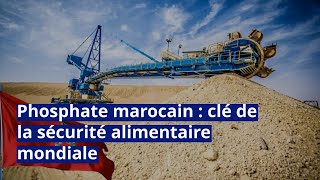 Phosphate marocain  clé de la sécurité alimentaire mondiale [upl. by Berky]