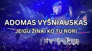 Adomas Vyšniauskas  Jeigu Žinai Ko Tu Nori Official Audio [upl. by Enirhtak907]