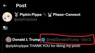 DONALD TRUMP noticed PIPPA  Pipkin Pippa [upl. by Nnuahs]